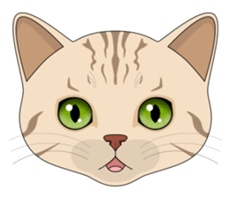 CAT FACE ! sticker #12291734