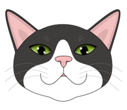 CAT FACE ! sticker #12291735