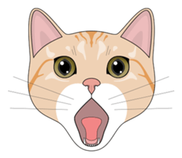 CAT FACE ! sticker #12291737