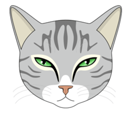 CAT FACE ! sticker #12291738