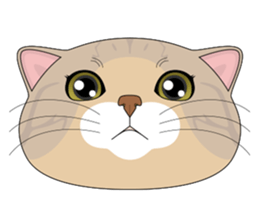 CAT FACE ! sticker #12291740