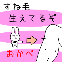 Rabbit(Day-to-day(5.1