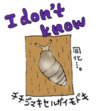 Precious Maimai sticker #12293956