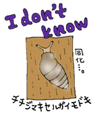 Precious Maimai sticker #12293956