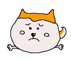 Shiba inu MOMO chan the third as well 21 sticker #12296707