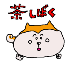 Shiba inu MOMO chan the third as well 21 sticker #12296735