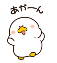 Motchiri duck(Animation) sticker #12300730