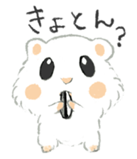 The white djungarian hamster sticker #12303086