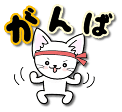 Of the happy cat is 2 every day sticker #12303716