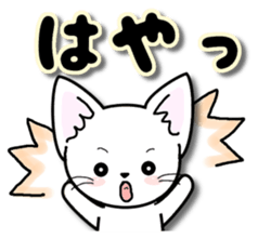 Of the happy cat is 2 every day sticker #12303723