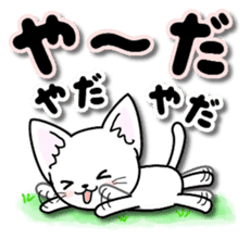 Of the happy cat is 2 every day sticker #12303724