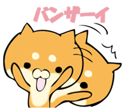 Shiba dog answers. sticker #12304727