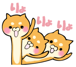 Shiba dog answers. sticker #12304728