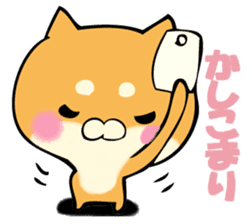 Shiba dog answers. sticker #12304730