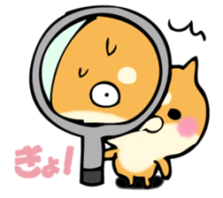 Shiba dog answers. sticker #12304731