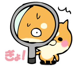 Shiba dog answers. sticker #12304731
