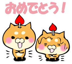 Shiba dog answers. sticker #12304734