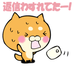 Shiba dog answers. sticker #12304739