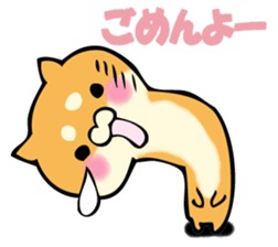 Shiba dog answers. sticker #12304740