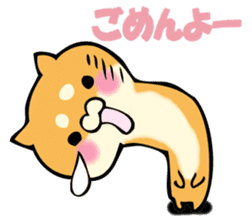 Shiba dog answers. sticker #12304740