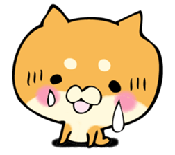 Shiba dog answers. sticker #12304741