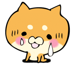 Shiba dog answers. sticker #12304741