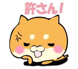 Shiba dog answers. sticker #12304743