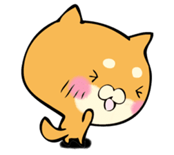 Shiba dog answers. sticker #12304748