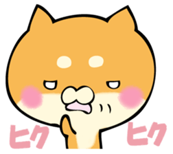 Shiba dog answers. sticker #12304755