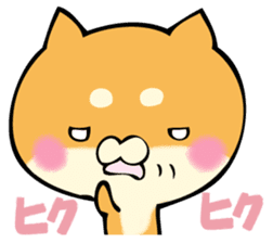 Shiba dog answers. sticker #12304755