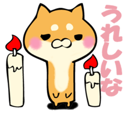 Shiba dog answers. sticker #12304756