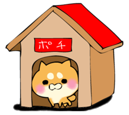 Shiba dog answers. sticker #12304760