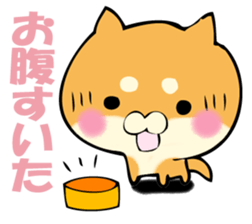 Shiba dog answers. sticker #12304761