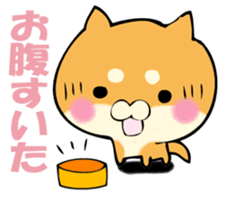 Shiba dog answers. sticker #12304761