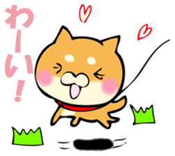 Shiba dog answers. sticker #12304762