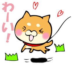 Shiba dog answers. sticker #12304762