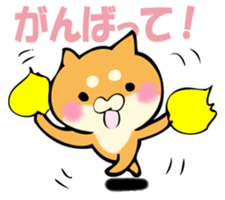 Shiba dog answers. sticker #12304765