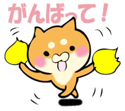 Shiba dog answers. sticker #12304765