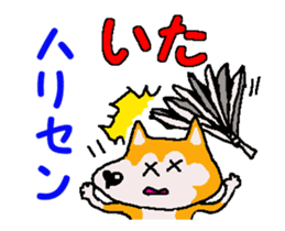 Shiba inu MOMO chan the third as well 4 sticker #12307190