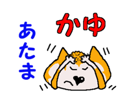 Shiba inu MOMO chan the third as well 4 sticker #12307193