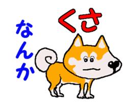 Shiba inu MOMO chan the third as well 4 sticker #12307194