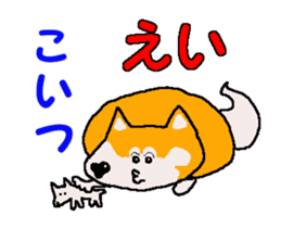 Shiba inu MOMO chan the third as well 4 sticker #12307198