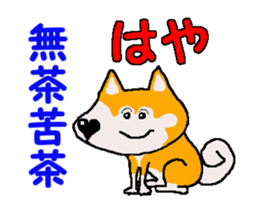 Shiba inu MOMO chan the third as well 4 sticker #12307203