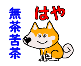 Shiba inu MOMO chan the third as well 4 sticker #12307203
