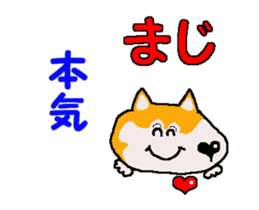 Shiba inu MOMO chan the third as well 4 sticker #12307205
