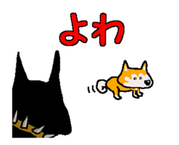 Shiba inu MOMO chan the third as well 4 sticker #12307209