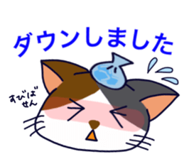 Cats love idols! sticker #12309391