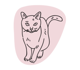 suay sticker #12309468