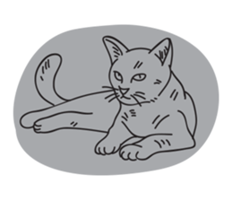 suay sticker #12309481