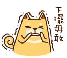 Fat Shiba dog say Taiwanese sticker #12313255